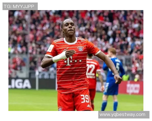 德甲球队逐渐恢复训练备战联赛重启欣欣向荣 德甲球队逐渐恢复训练备战联赛重启欣欣向荣