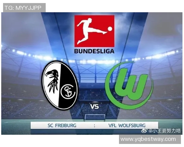 汉堡客场保不败力保稳定,逼平弗赖堡展现实力 汉堡客场保不败力保稳定,逼平弗赖堡展现实力