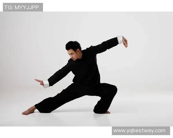 探索48式太极拳的魅力与精髓，领悟传统武术的深厚文化底蕴