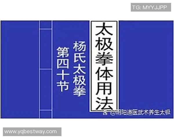 探索杨式太极拳24式的魅力与内涵，感受传统武术的精髓与现代健身的结合